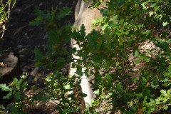 DSC03119-Medium