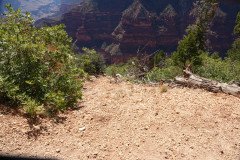DSC03120-Medium