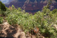 DSC03121-Medium