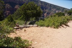 DSC03122-Medium