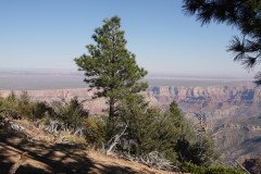 DSC03129-Medium