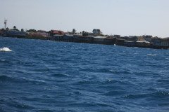 IMG_2068-.Medium