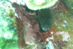IMG_2093-.Medium
