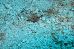 IMG_2120-.Medium