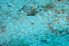 IMG_2121-.Medium