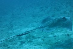 IMG_2122-.Medium