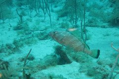 IMG_2127-.Medium