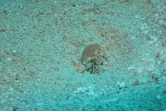 IMG_2129-.Medium