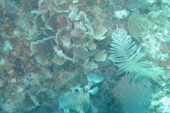 IMG_2141-.Medium