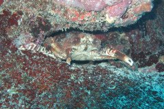 IMG_2143-.Medium