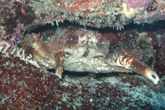 IMG_2144-.Medium
