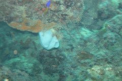 IMG_2149-.Medium