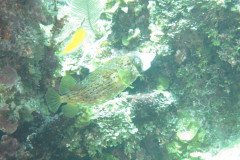 IMG_2159-.Medium