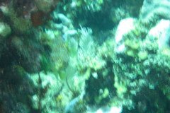 IMG_2160-.Medium