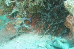 IMG_2169-.Medium