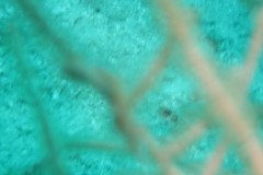 IMG_2173-.Medium