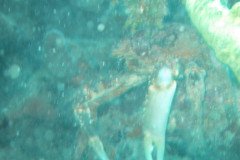 IMG_2177-.Medium