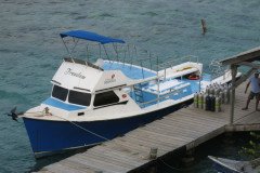 IMG_2180-.Medium