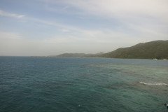 IMG_2182-.Medium