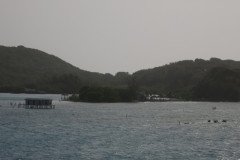 IMG_2185-.Medium