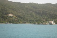 IMG_2186-.Medium