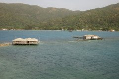 IMG_2187-.Medium