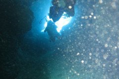 IMG_2196-.Medium