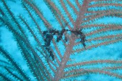 IMG_2204-.Medium