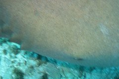 IMG_2211-.Medium
