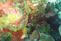 IMG_2214-.Medium