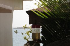IMG_2216-.Medium