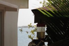 IMG_2217-.Medium