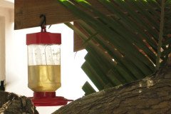 IMG_2218-.Medium