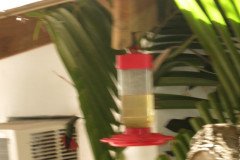 IMG_2224-.Medium