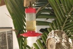 IMG_2225-.Medium