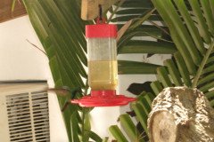 IMG_2230-.Medium