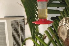 IMG_2231-.Medium