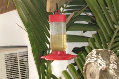 IMG_2232-.Medium