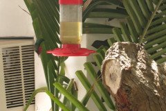 IMG_2233-.Medium