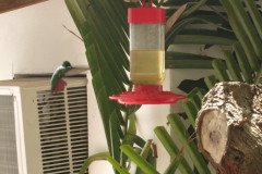 IMG_2234-.Medium