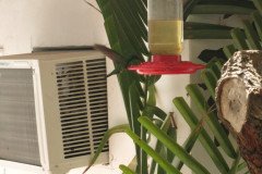IMG_2238-.Medium