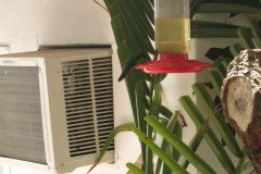IMG_2239-.Medium