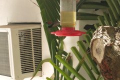 IMG_2244-.Medium
