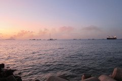 IMG_1716-.Medium