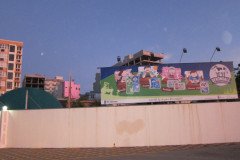 IMG_1718-.Medium