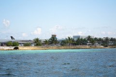 IMG_1724-.Medium