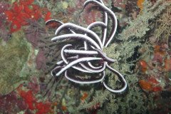 IMG_1744-.Medium