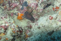 IMG_1749-.Medium