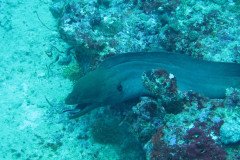 IMG_1756-.Medium