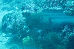 IMG_1758-.Medium